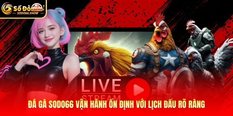 Đá gà SODO66 vận hành ổn định với lịch đấu rõ ràng