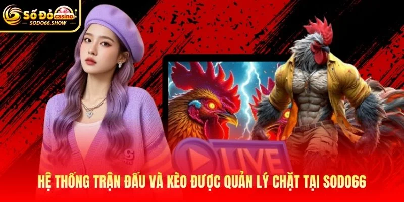Hệ thống trận đấu và kèo được quản lý chặt tại SODO66